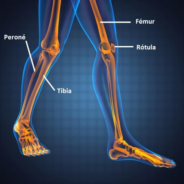 Sistemas para Miembro Inferior